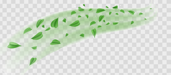 Green fresh air or wind effect set on transparent background. Glow swirl light. Green leaves fly. Realistic vector illustration