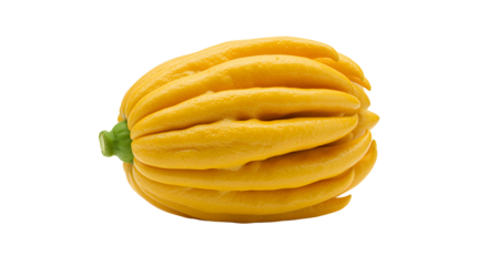 Buddha's Hand Citron Fruit isolated on a transparent background