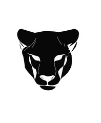 head of a bull of black dog