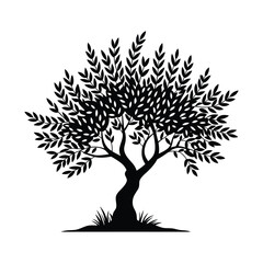 Silhouette of a lush green olive tree with a twisted trunk and dense foliage