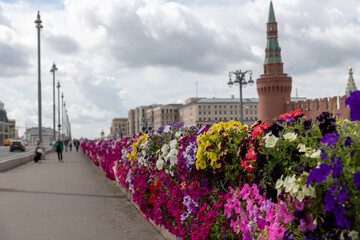 Beautiful flowers line the bridge near the Kremlin in Moscow