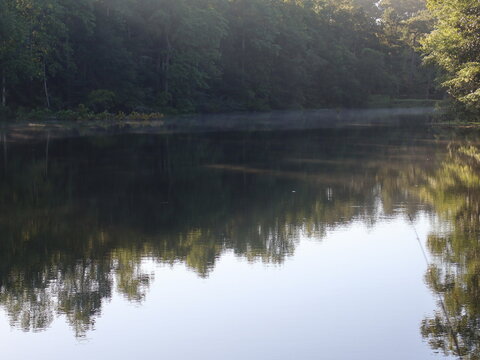 Pond Morning View