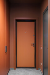 Entrance door inside an apartment interior