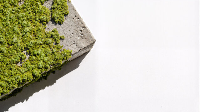 Close-Up of Concrete Pavement Block with Lichens on White Background