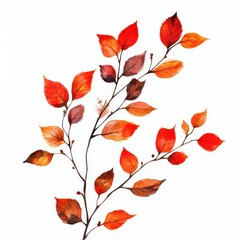 Tree sprigs with foliage in autumn season. Fall nature decoration icon. Flat isolated illustration on white