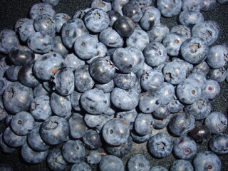 blueberries in a bowl