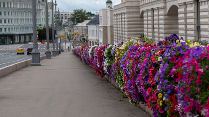 Vibrant summer flowers line the sidewalk in a bustling city street