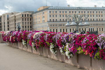 Beautiful summer flower decorations along a city street in full bloom