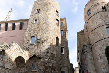 Fototapeta premium Barcelona Cathedral and Historic Architecture