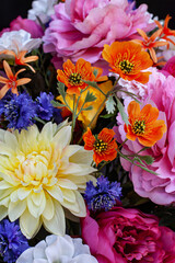 Floral background in pop colors