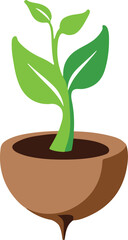 Sprout growing from soil showing roots and leaves germinating plant seed growth concept
