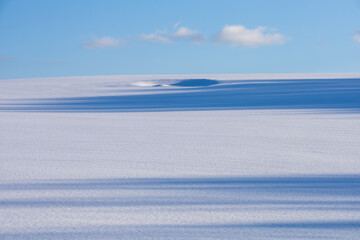 The soft shadows of winter