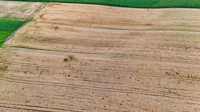 Aerial view of ripening wheat fields showing textured patterns with contrasting green crops nearby. Ideal for agricultural, nature, and farming themes.