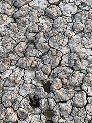 dry cracked ground, Cracks and fissures in the ground caused by drought. Lake Cuga. Uri, Sassari, Sardinia.