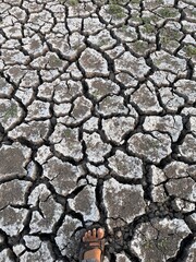 dry cracked ground, Cracks and fissures in the ground caused by drought. Lake Cuga. Uri, Sassari, Sardinia.