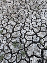 dry cracked ground, Cracks and fissures in the ground caused by drought. Lake Cuga. Uri, Sassari, Sardinia.