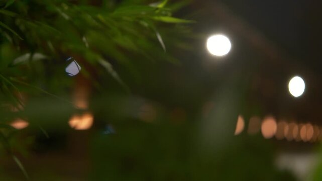 Travel Night city View willow branches over the road, cinematic 4k