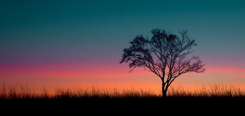 Fototapeta premium Silhouette tree isolated 