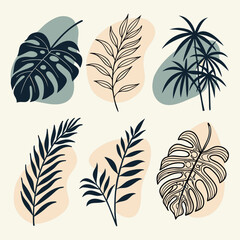 Six abstract botanical illustrations featuring monstera palm and fern leaves on organic shapes monstera leaf