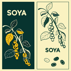 Two graphic designs featuring soya bean plants and beans soybean agriculture food