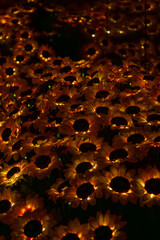Glowing golden sunflower‑shaped lights densely cover a dark background, each reflective petal...