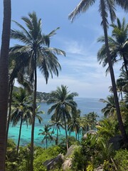 Tropical Paradise View with Palm Trees and Turquoise Ocean in Southeast Asia