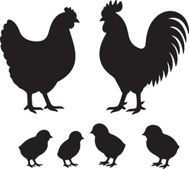 vector set of hen or chicken, rooster and chicks silhouettes   on white background
