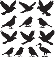 vector set of bird silhouettes   on white background