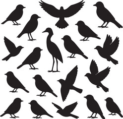vector set of bird silhouettes   on white background