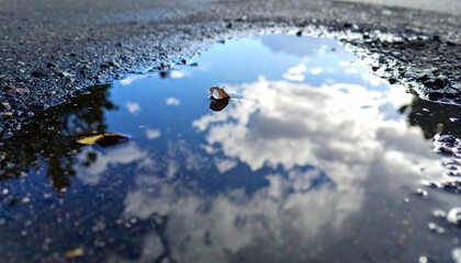 アスファルトの水たまりに映る空と雲、漂う小さな葉が織り成す抽象的な視点の美しさ

