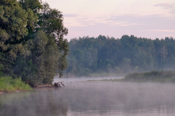 foggy orning on the lake