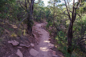 Trail to Mushroom Rock in Carbondale, Colorado