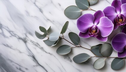 lush deep purple orchid blossoms with silver dollar eucalyptus leaves on a light marble surface ideal for wellness beauty or serene lifestyle concepts