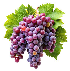 Fototapeta premium A lush bunch of ripe red grapes adorned with vibrant green leaves isolated on transparent background