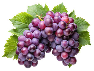 Fototapeta premium Vibrant cluster of ripe red and green grapes with fresh green leaves isolated on transparent background