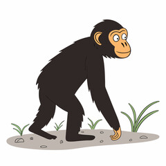 Chimpanzee walking on grass in a playful pose  