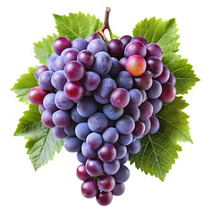 Fototapeta premium A plump bunch of ripe red grapes with a glossy sheen showcasing their natural beauty isolated on transparent background