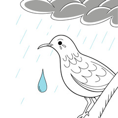 Bird sitting on branch with rain and tear drop in the sky  