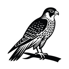 Obraz premium Detailed silhouette of a peregrine falcon perched on a branch
