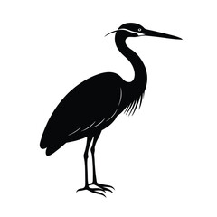 Fototapeta premium Black heron silhouette