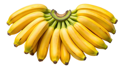 A large bunch of ripe yellow bananas fanned out in a heart shape against a stark black background isolated on transparent background