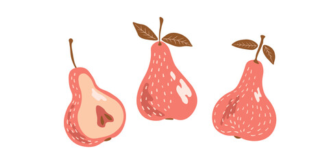 Pear isolated on white background. Natural delicious fresh ripe tasty fruit. Sweet pears with leaves. Food concept. Vector illustration for design.