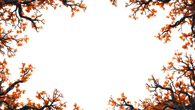 Halloween overlay with autumn trees isolated on transparent background. Concept of Happy Halloween.