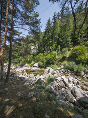 Rila Mountain near Beli Iskar River, Bulgaria