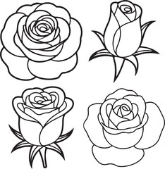 Set of Rose Flower Line Art Illustrations in Black and White