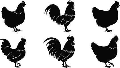 Chicken and Rooster Silhouette Vector Set – Farm Bird Icons with Distinct Feathers and Shapes for Agriculture, Decor, or Food Design
