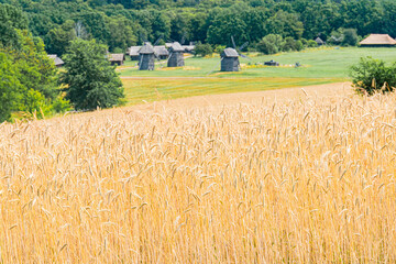 Late afternoon view of an ancient Central European rural scene, featuring a harvested crop field,...