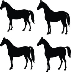 Horse Shape Vector with Transparency