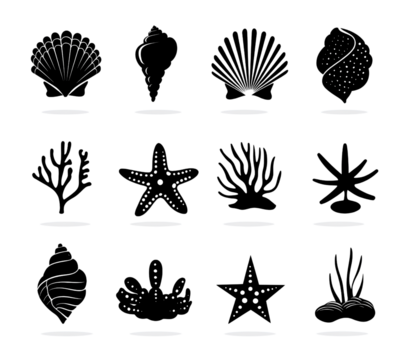  Set of black icons, shell and starfish silhouettes, coral reef elements, simple vector icon set on a transparent background.