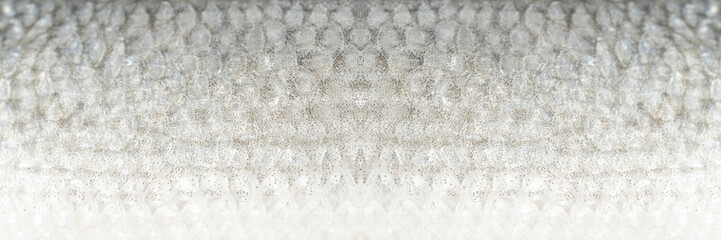 Fish scales texture background, sea bass skin close up, macro shot of silver labrax scale © ange1011